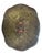 This petite, hand-painted table features beautiful floral and botanical detailing throughout. It is quite sturdy and a...