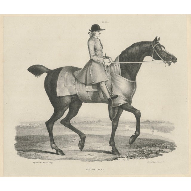 Maxim Gauci, Sedbury Equestrian Horse & Rider Portrait, 1840, Lithograph For Sale - Image 10 of 10