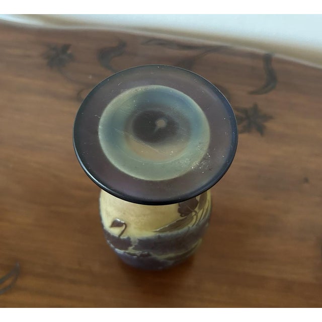 Ovoid-Shaped Glass Vase from Emile Gallé, 1890s For Sale - Image 18 of 18