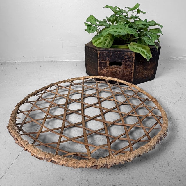 Japanese Bamboo Zaru Drying Trays, 1930, Set of 5 For Sale - Image 4 of 13