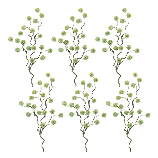 2020s Snowball Floral Branch (Set of 6) For Sale - Image 5 of 5