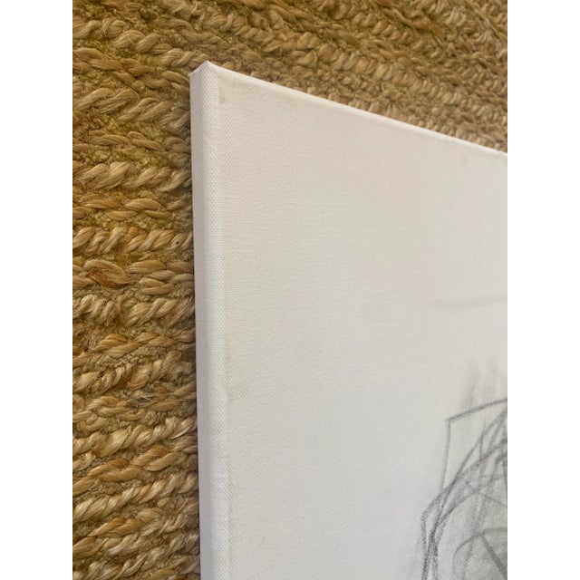 Abstract Sarah Trundle, Contemporary Abstract Graphite Drawing on Canvas "Flower Study in Charcoal" For Sale - Image 3 of 4