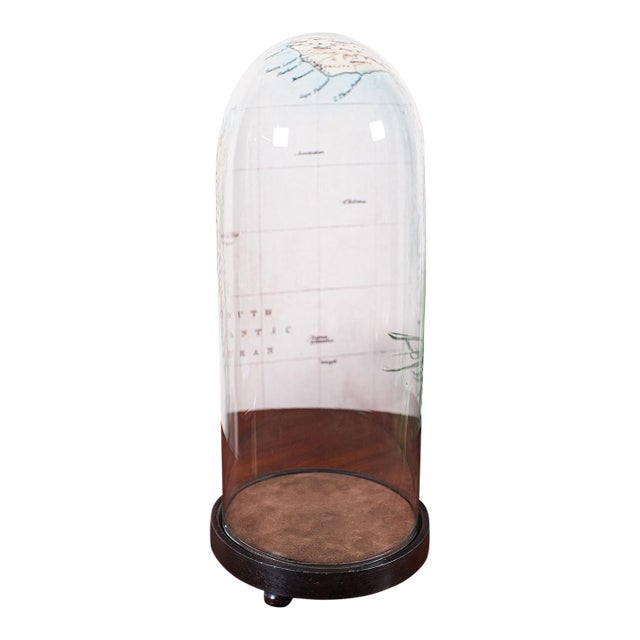 Tall Victorian Antique Specimen Showcase Dome, English, Glass, Taxidermy, 1895 For Sale