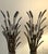Mid-Century Modern Brass Finish Wheat Sheath Candle Stick Holders For Sale - Image 3 of 5