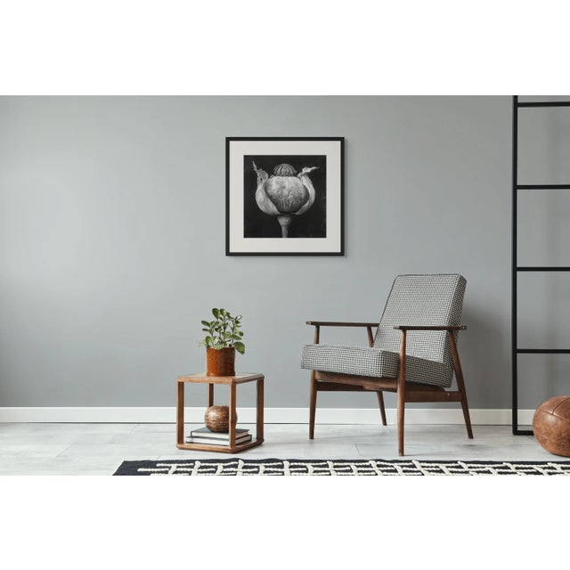"Poppy Pod Head" No. 5 Black and White Botanical Photography in the Spirit of Karl Blossfeldt A sophisticated botanical...