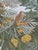 Vintage French Tropical Forest Jacquard Tapestry, 1950s For Sale - Image 15 of 18