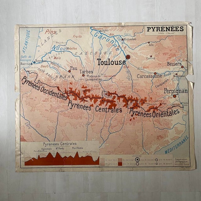 Vintage Double-Sided School Map of The Alps / the Pyrenees, 1950s For Sale - Image 4 of 11