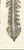 19th Century Hirschfeld and Leveille, Brain and Spinal Cord with the Spinal Nerves, 1866, Paper For Sale - Image 5 of 12
