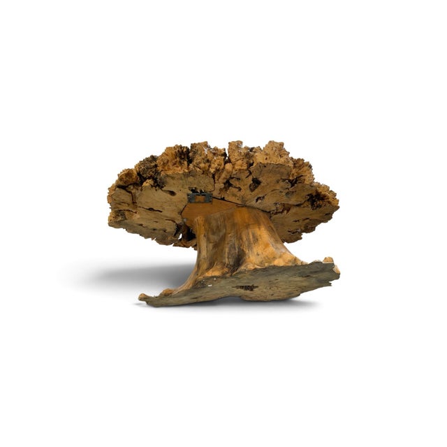 Wood Signed 1970s California Studio Craft Live-Edge Buckeye Burl Root Mushroom Coffee Table "Flight Into Freedom" For Sale - Image 7 of 7