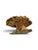 Wood Signed 1970s California Studio Craft Live-Edge Buckeye Burl Root Mushroom Coffee Table "Flight Into Freedom" For Sale - Image 7 of 7