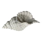 Large White Ceramic Shell Centerpiece by Alberto Smania for Studio Smania, Italy, 1970s For Sale