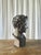 1960s Classical Terracotta Bust, 1960s For Sale - Image 5 of 18