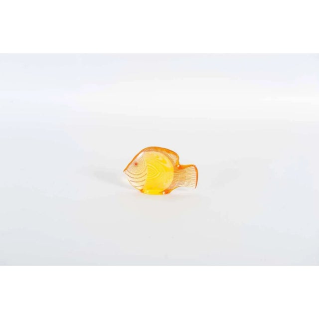 Acrylic Glass Fish by Abraham Palatnik, 1960s, Set of 3 For Sale - Image 6 of 10
