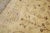 Mustard Late 20th Century Palace Size Pishawar Rug - 15'1" x 24'5" For Sale - Image 8 of 13