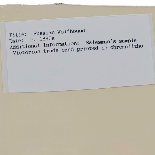 Victorian Chromolithograph of Russian Wolfhound, c.1890s For Sale - Image 11 of 11