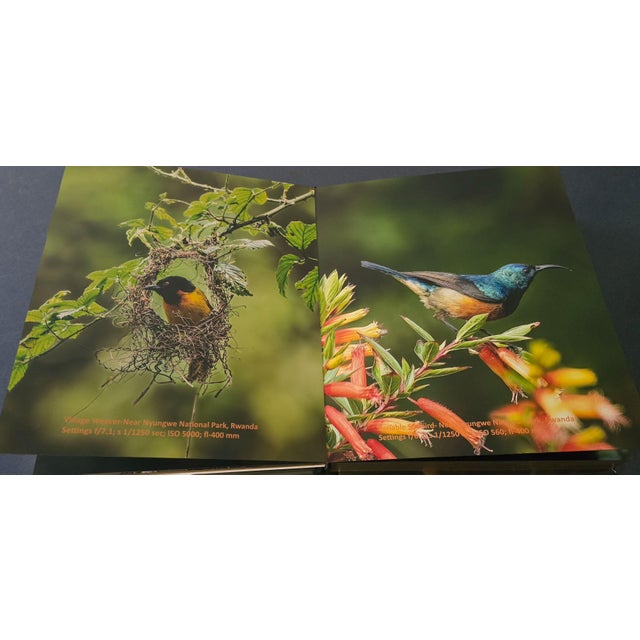 Whispers in the Wind a Tweet From the Wild For Sale - Image 10 of 17