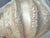 C1980's Palm Beach Chic Nautilus Shell Table Lamps- A Pair For Sale - Image 17 of 18