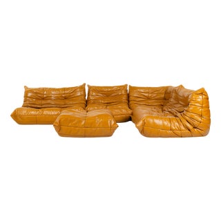 Vintage Togo Modular Sofa in Brown Leather by Michel Ducaroy for Ligne Roset, France, 1970s, Set of 5 For Sale