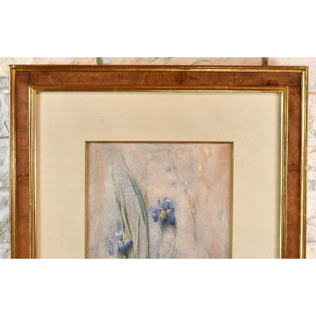 American Original Vintage Thomas Daly Iris Flower Watercolor Painting For Sale - Image 3 of 13