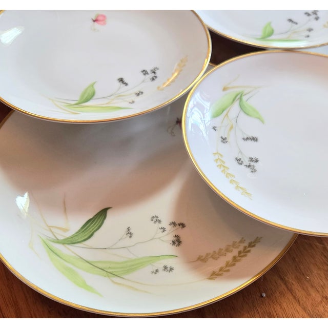 Gold Rimmed Wildflower Plates- Set of 12 For Sale - Image 10 of 10