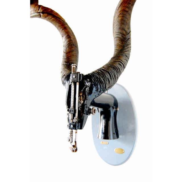 Rudolph the 6th From Chimera Watts For Sale In New York - Image 6 of 6