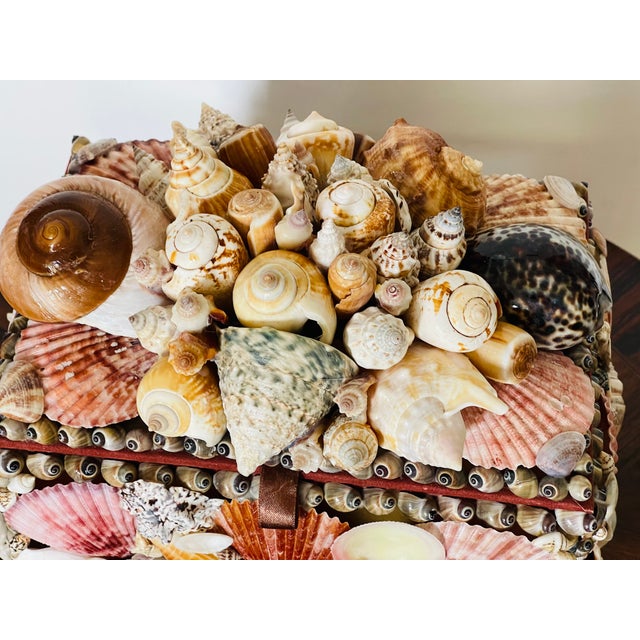 Spectacular 20 Th C Sea Shell Encrusted Jewelry Box Tony Douquet Style For Sale - Image 4 of 5
