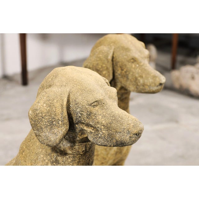Mid 20th Century Pair of Stone Labrador Garden Statues For Sale - Image 12 of 13