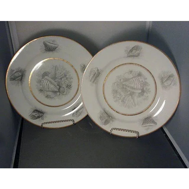 1810 Worcester Porcelain Flight Barr Bat Printed Sea Shell Dinner Plates - A Pair For Sale - Image 4 of 5
