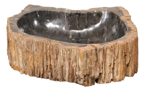 Black & Tan Petrified Wood Sink with Live Edge