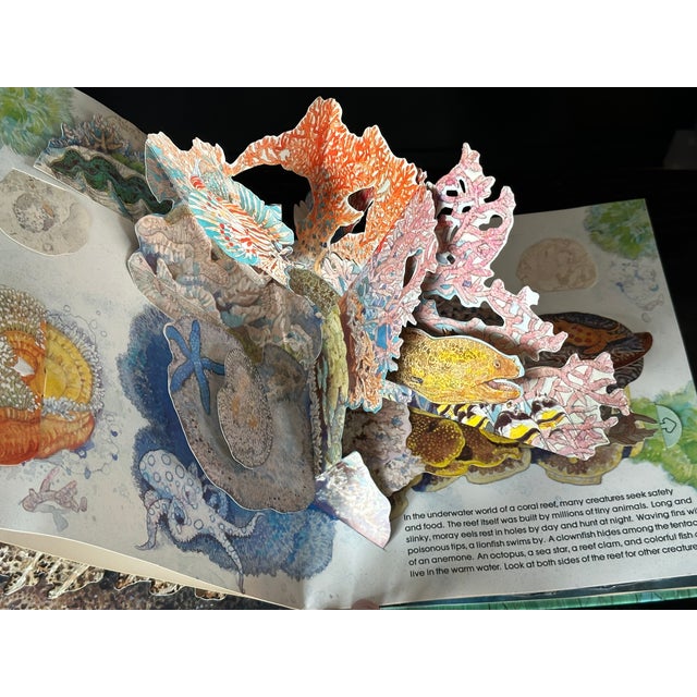 Paper Sea Animal Pop Up Book For Sale - Image 7 of 8