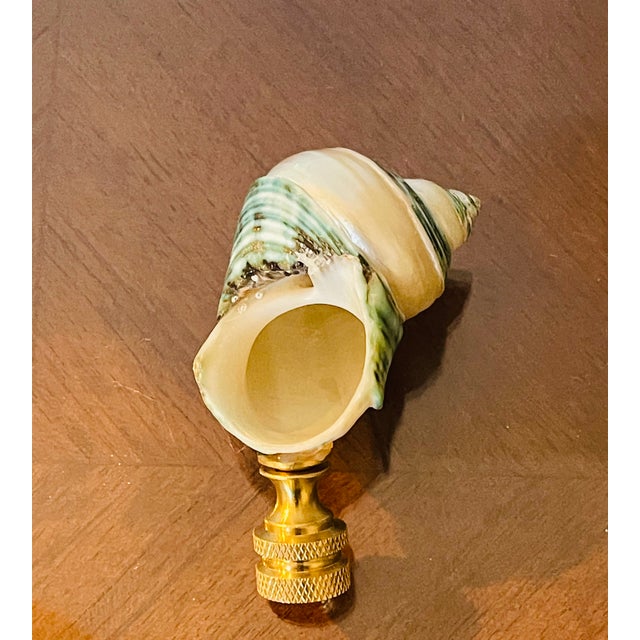 1970s Mother of Pearl Blue Turbo Sea Shell Lamp Finial For Sale - Image 4 of 4