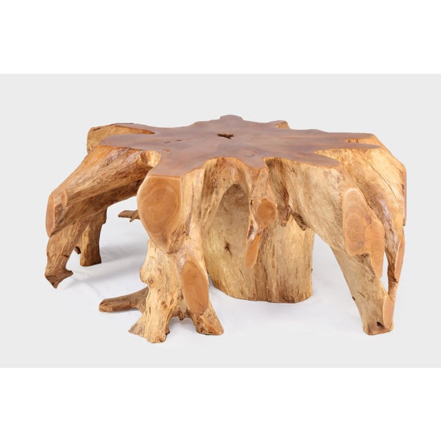 2020s Round 36" Inch Organic Teak Root Coffee Table 27 For Sale - Image 5 of 6