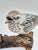 Vintage Hand-Carved & Painted Wooden House Sparrow Bird Sculpture on Driftwood Base For Sale - Image 10 of 12