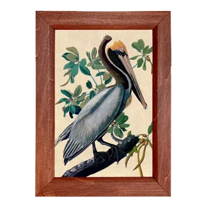 Brown Pelican Framed Print, Wood Frame