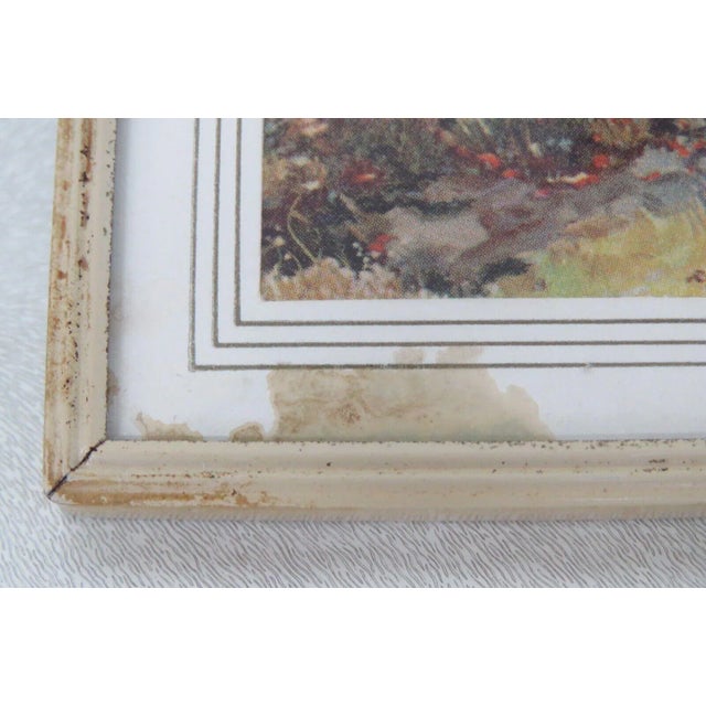 Lt Johnson Agency Nature Landscape Advertising Thermometer Picture For Sale In Miami - Image 6 of 7