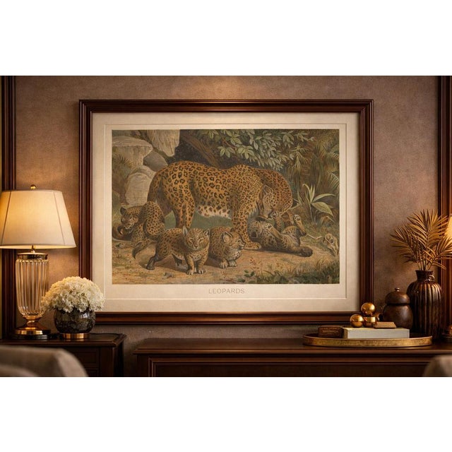 Leopards, Antique Big Cat Print, Victorian Natural History 1894 : This refined composition presents a leopard family at...