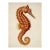Vintage Seahorse — Natural History Fine Art Print For Sale