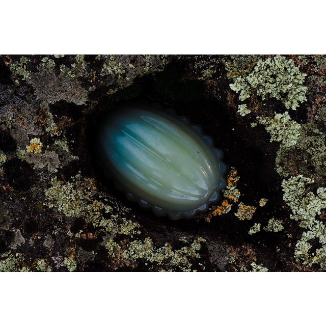 Jelly & Lichen III by Jenya Chernoff | Giclée print on fine art paper of a lichen-covered surface For Sale