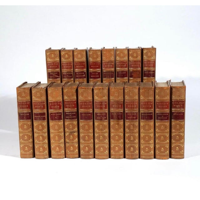 Animal Skin Charles Dickens, Works — 20-Volume Victorian Edition, Nathan Simon, New York, Circa 1900 For Sale - Image 7 of 11