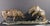Don Hunt "The Exchange" Bulle&bear Bronze Sculpture Beautiful Art Rare! Obo For Sale In Denver - Image 6 of 10