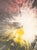 Abstract 1970s Paul Olsen “Explosion #20” San Francisco Counterculture Process Painting 19.5” For Sale - Image 3 of 10