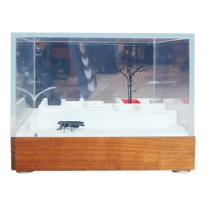 1967 Modern Surrealist Mixed Media Fly & Tree Maze Sculpture With Lucite Case by Bob Fowler