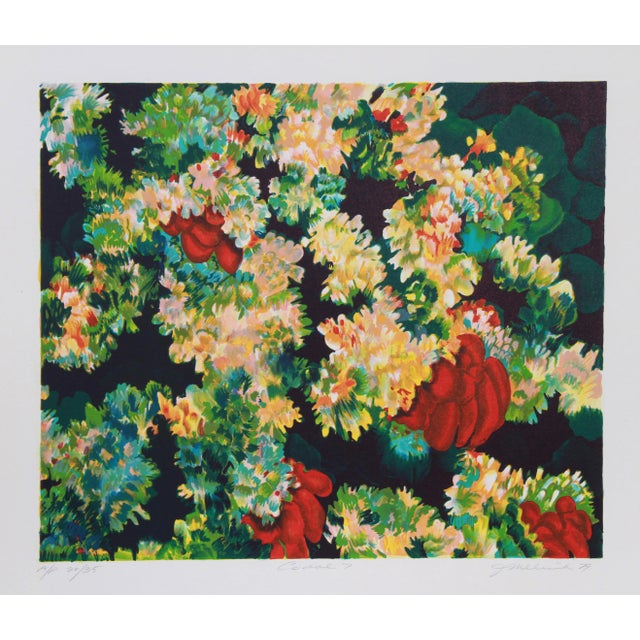 Joan Melnick, Coral 7, Lithograph For Sale