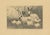 Henri Verstijnen, English Spot Rabbits Wildlife, 1925, Lithograph For Sale - Image 3 of 9