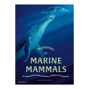 Mysteries of Marine Mammals an Illustrated Guide to Whales, Dolphins, and Porpoises