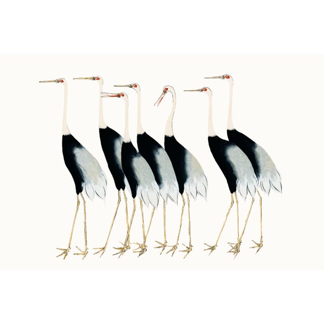 Vintage Japanese Cranes Illustration, Coastal Bird Art Print, 60" X 40" For Sale