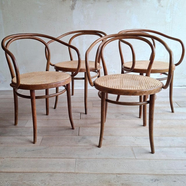No. 209 Armchairs in Bentwood and Rattan from Ligna, 1970s, Set of 4 For Sale - Image 4 of 13