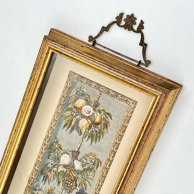 Vintage Hand Colored Engraving Old World European Fruit Swag For Sale In New York - Image 6 of 18