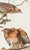 John James Audubon 1980s The Abbeville Press Edition of the Red-Shouldered Hawk (Plate 56) From the Birds of America by John James Audubon For Sale - Image 4 of 7
