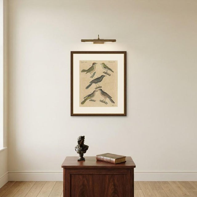 Bertuch, Goldcrest and Firecrest with Songbirds, 1820, Print For Sale - Image 10 of 12